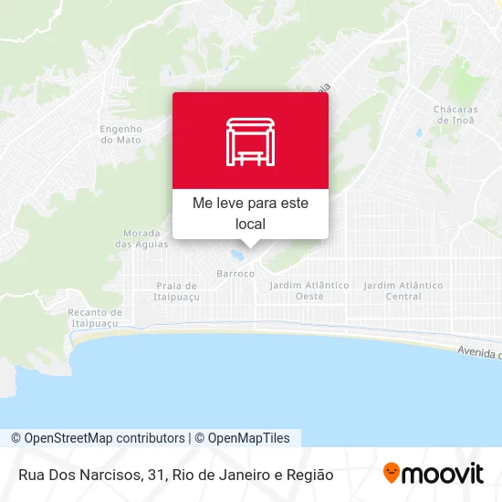 Rua Dos Narcisos, 31 mapa