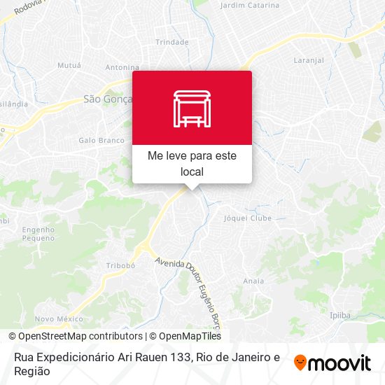 Rua Expedicionário Ari Rauen 133 mapa