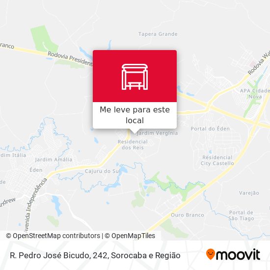 R. Pedro José Bicudo, 242 mapa