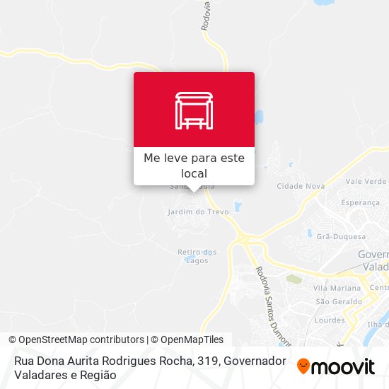 Rua Dona Aurita Rodrigues Rocha, 319 mapa