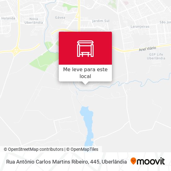 Rua Antônio Carlos Martins Ribeiro, 445 mapa