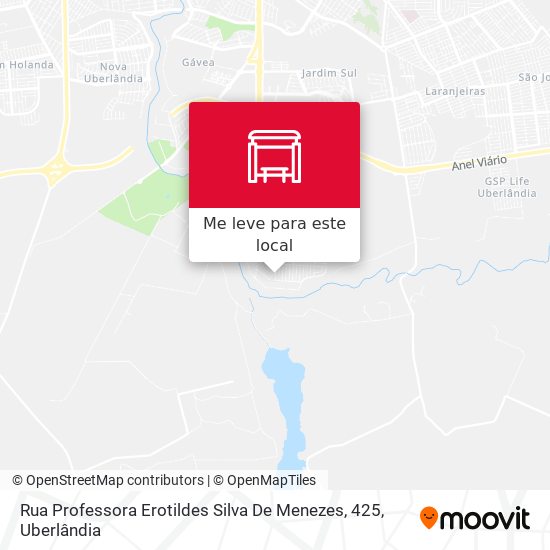 Rua Professora Erotildes Silva De Menezes, 425 mapa