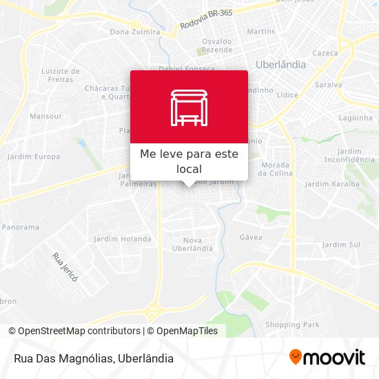 Rua Das Magnólias mapa
