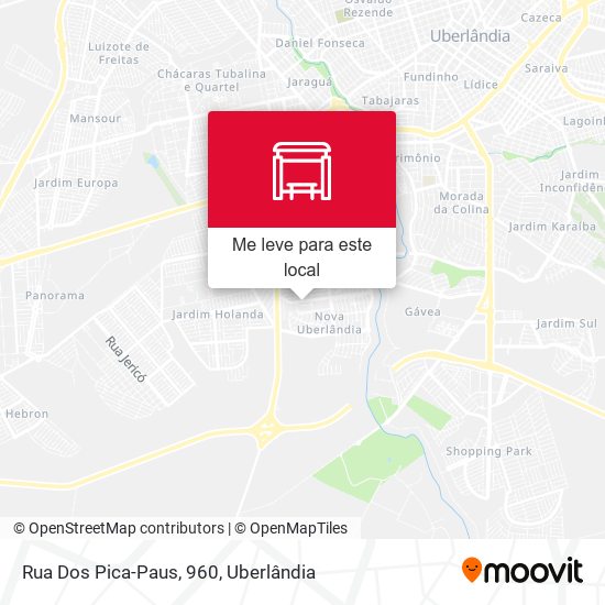 Rua Dos Pica-Paus, 960 mapa