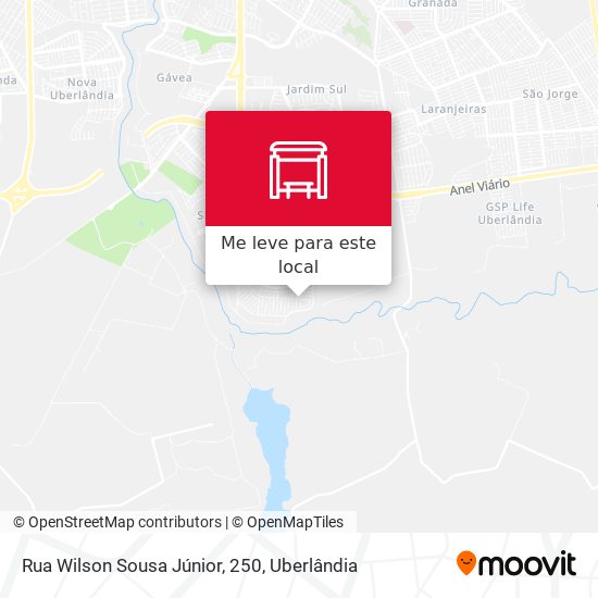 Rua Wilson Sousa Júnior, 250 mapa