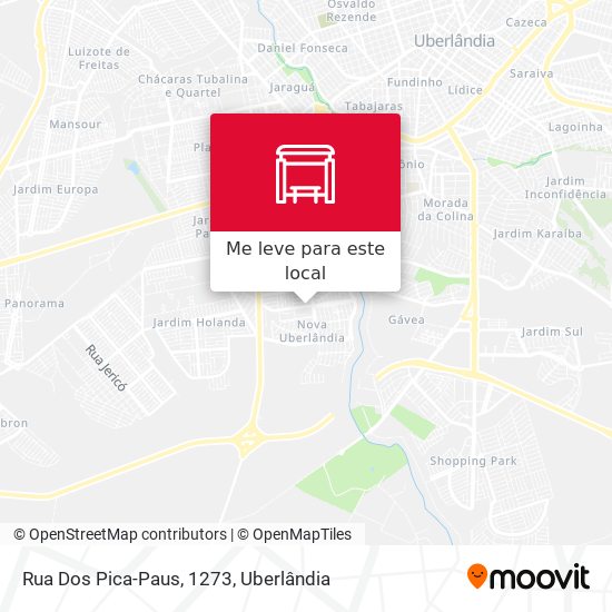 Rua Dos Pica-Paus, 1273 mapa
