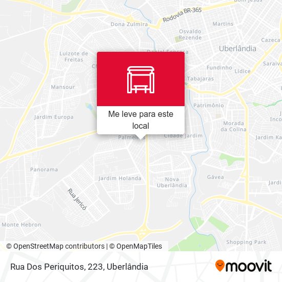 Rua Dos Periquitos, 223 mapa