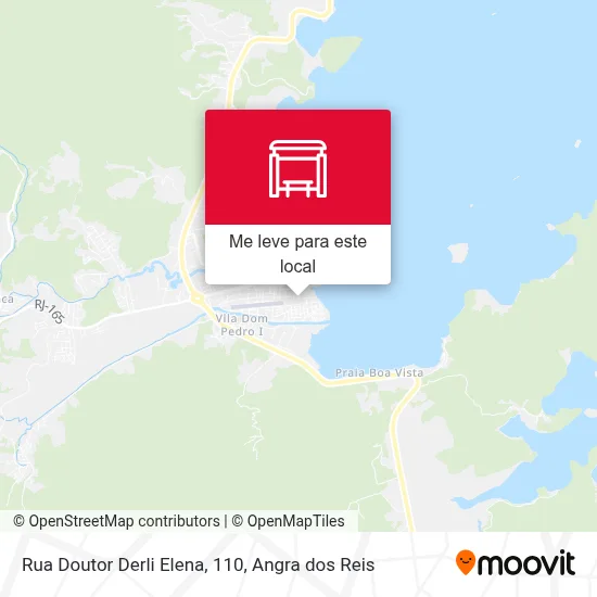 Rua Doutor Derli Elena, 110 mapa