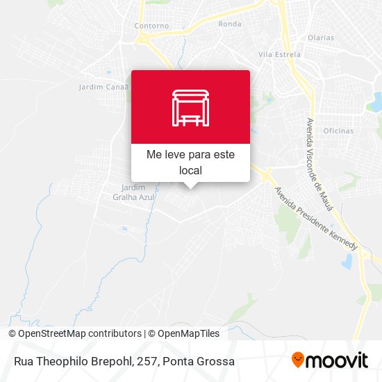 Rua Theophilo Brepohl, 257 mapa
