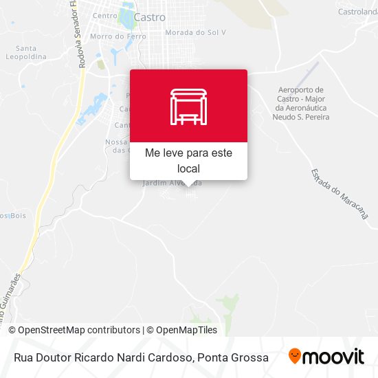 Rua Doutor Ricardo Nardi Cardoso mapa