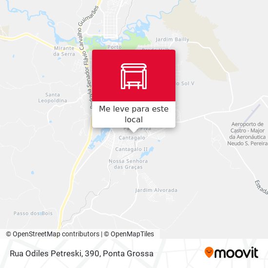 Rua Odiles Petreski, 390 mapa