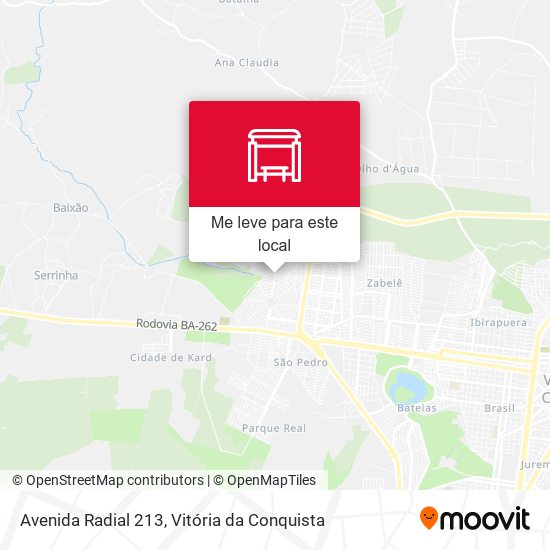 Avenida Radial 213 mapa