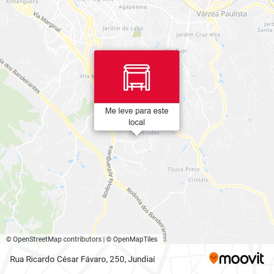 Rua Ricardo César Fávaro, 250 mapa