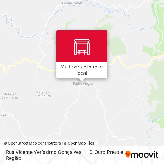 Rua Vicente Veríssimo Gonçalves, 110 mapa