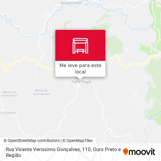 Rua Vicente Veríssimo Gonçalves, 110 mapa