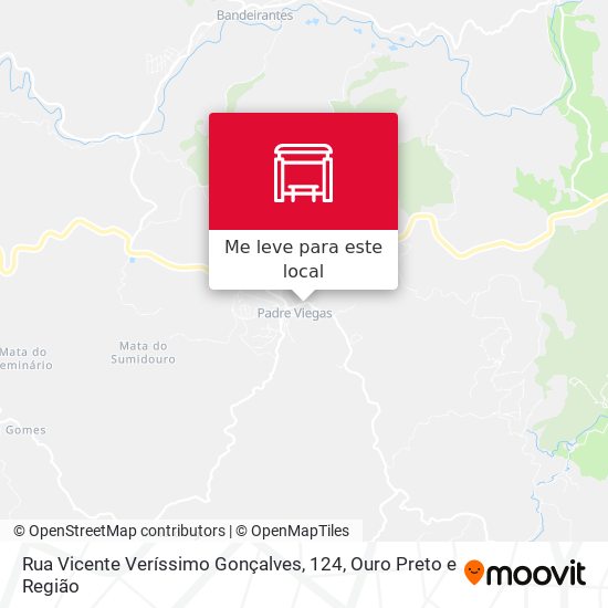 Rua Vicente Veríssimo Gonçalves, 124 mapa