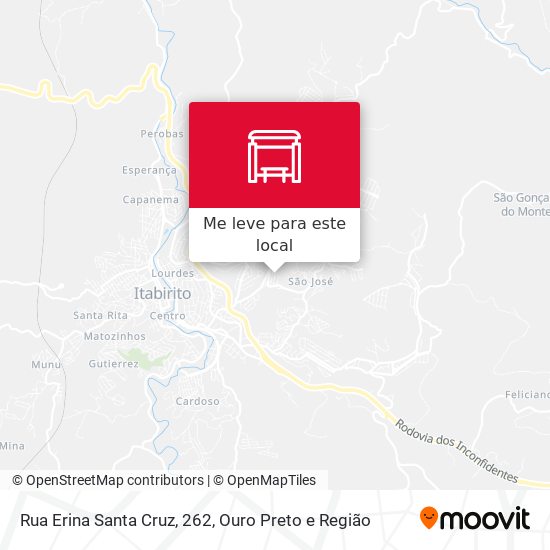 Rua Erina Santa Cruz, 262 mapa