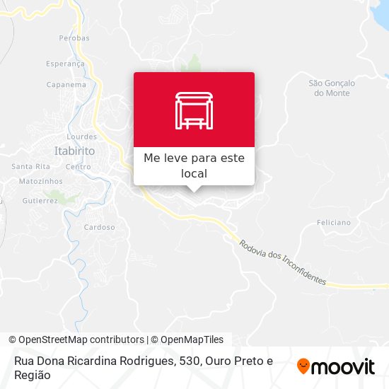 Rua Dona Ricardina Rodrigues, 530 mapa