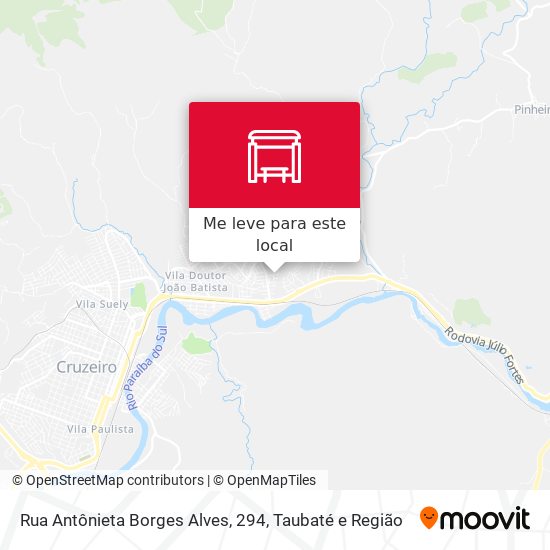 Rua Antônieta Borges Alves, 294 mapa
