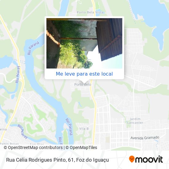 Rua Célia Rodrigues Pinto, 61 mapa