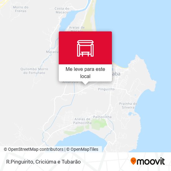 R.Pinguirito mapa