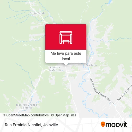Rua Erminio Nicolini mapa