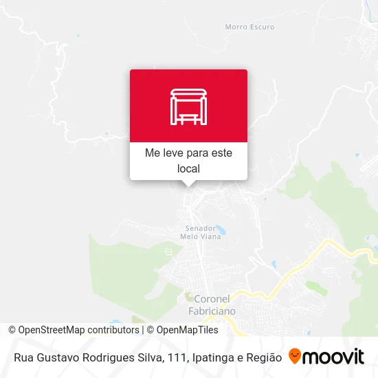 Rua Gustavo Rodrigues Silva, 111 mapa