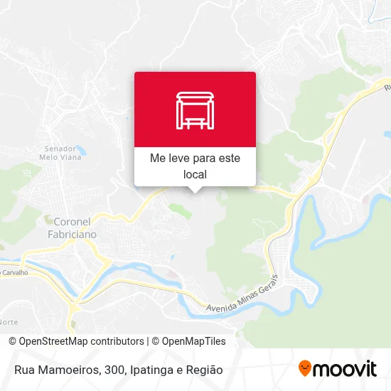 Rua Mamoeiros, 300 mapa