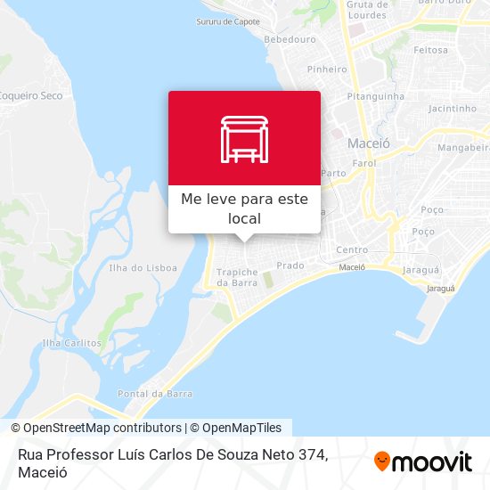 Rua Professor Luís Carlos De Souza Neto 374 mapa