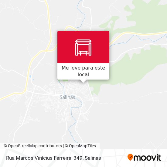 Rua Marcos Vinícius Ferreira, 349 mapa