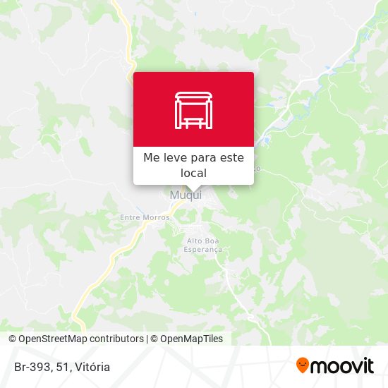 Br-393, 51 mapa