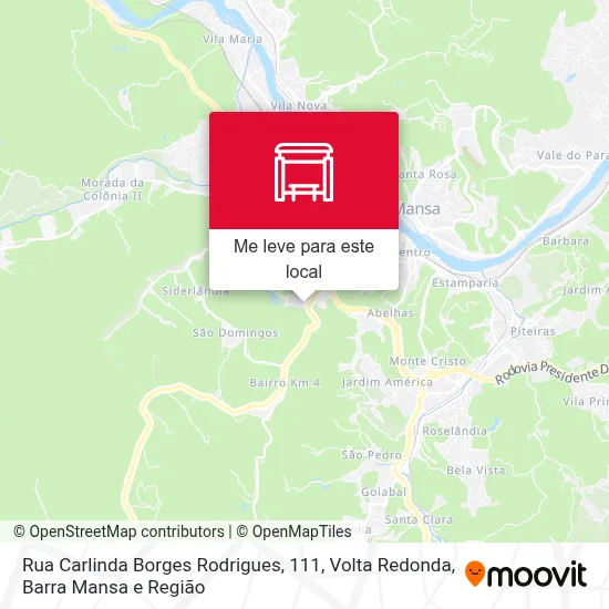 Rua Carlinda Borges Rodrigues, 111 mapa