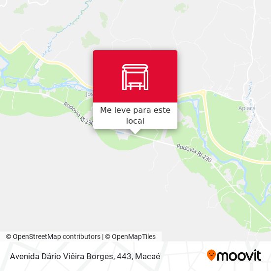 Avenida Dário Viêira Borges, 443 mapa