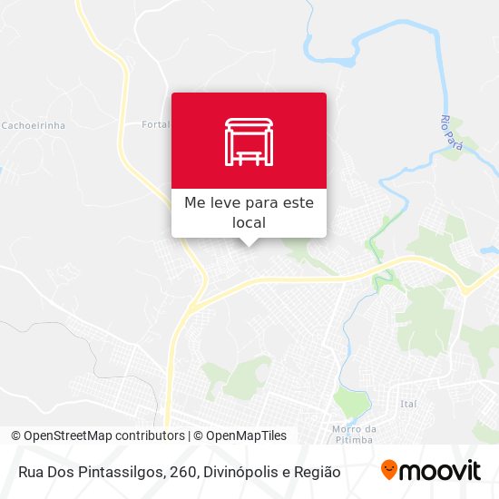 Rua Dos Pintassilgos, 260 mapa