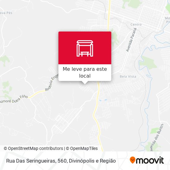 Rua Das Seringueiras, 560 mapa