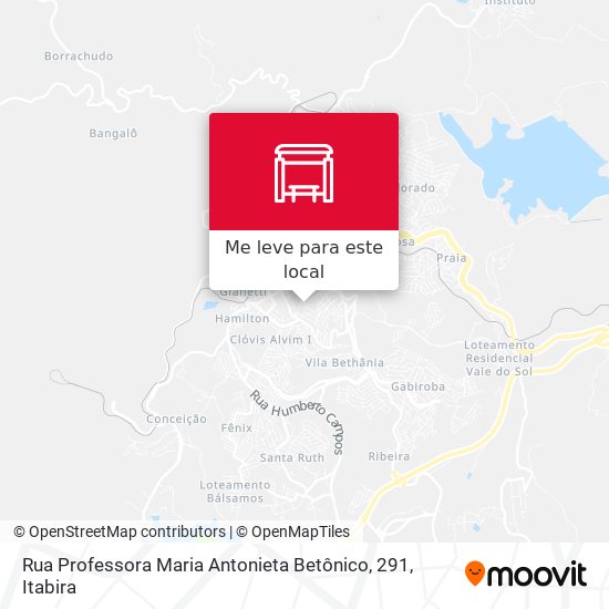 Rua Professora Maria Antonieta Betônico, 291 mapa