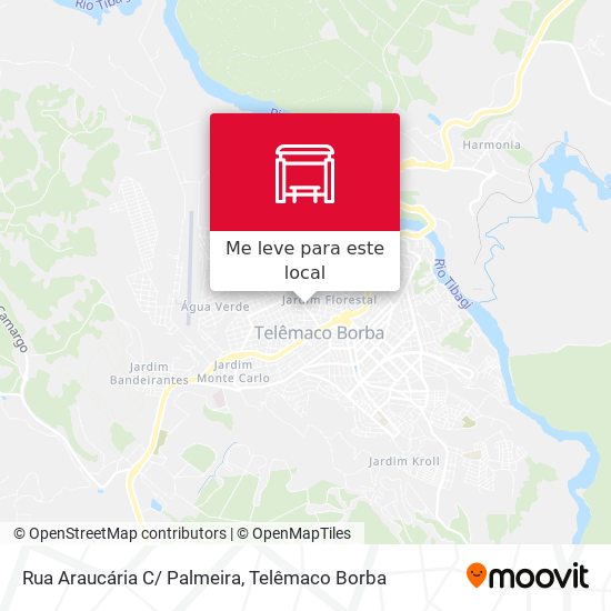Rua Araucária C/ Palmeira mapa