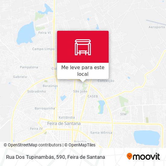 Rua Dos Tupinambás, 590 mapa