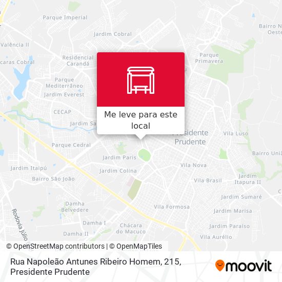 Rua Napoleão Antunes Ribeiro Homem, 215 mapa