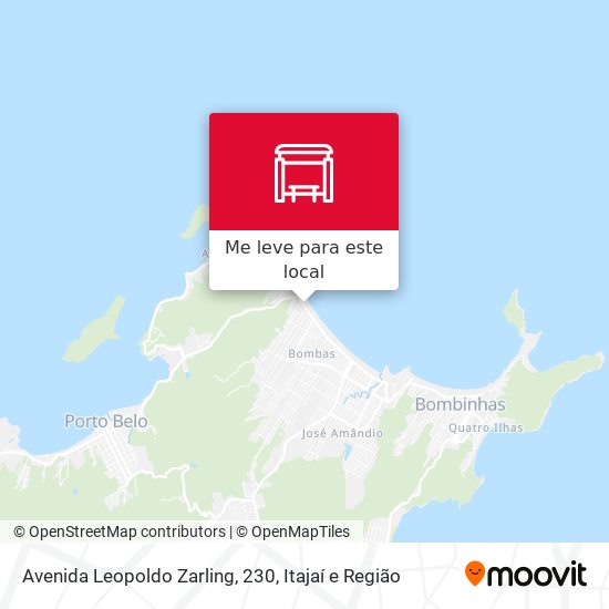 Avenida Leopoldo Zarling, 230 mapa