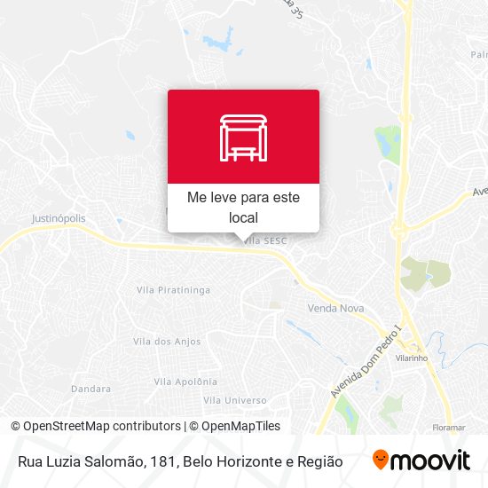 Rua Luzia Salomão, 181 mapa