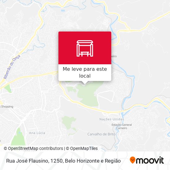 Rua José Flausino, 1250 mapa