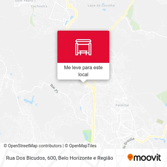 Rua Dos Bicudos, 600 mapa