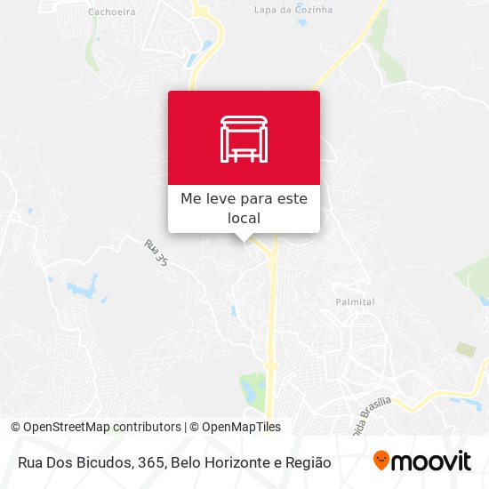 Rua Dos Bicudos, 365 mapa