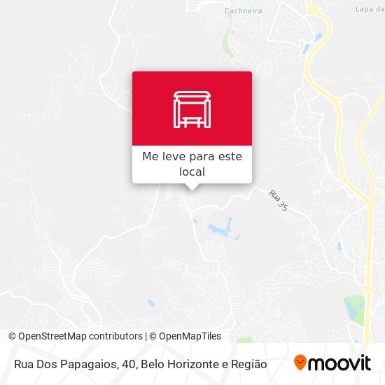 Rua Dos Papagaios, 40 mapa