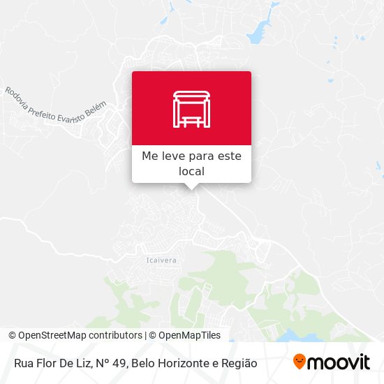 Rua Flor De Liz, Nº 49 mapa