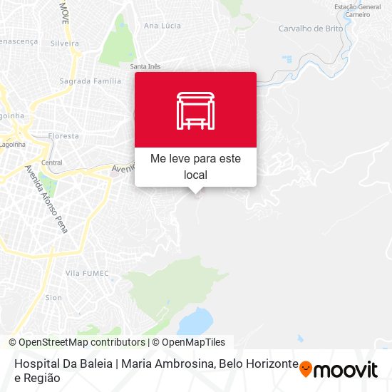 Hospital Da Baleia | Maria Ambrosina mapa