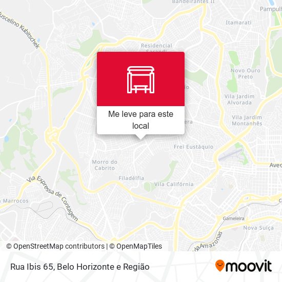 Rua Ibis 65 mapa