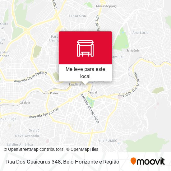 Rua Dos Guaicurus 348 mapa