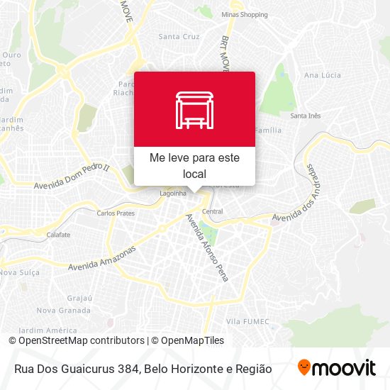 Rua Dos Guaicurus 384 mapa